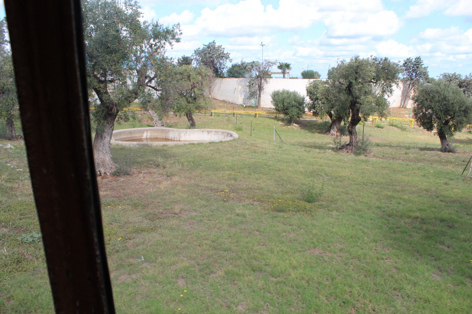 African Hunting Dog Enclosure - Oct 2019