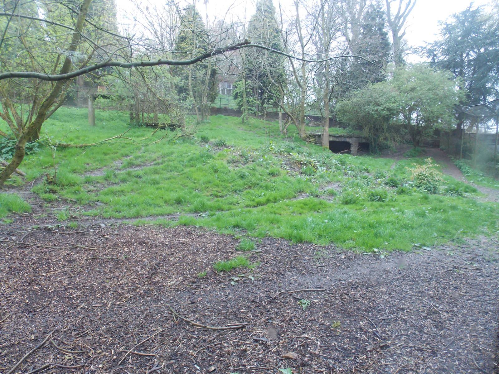 African Hunting Dog Enclosure