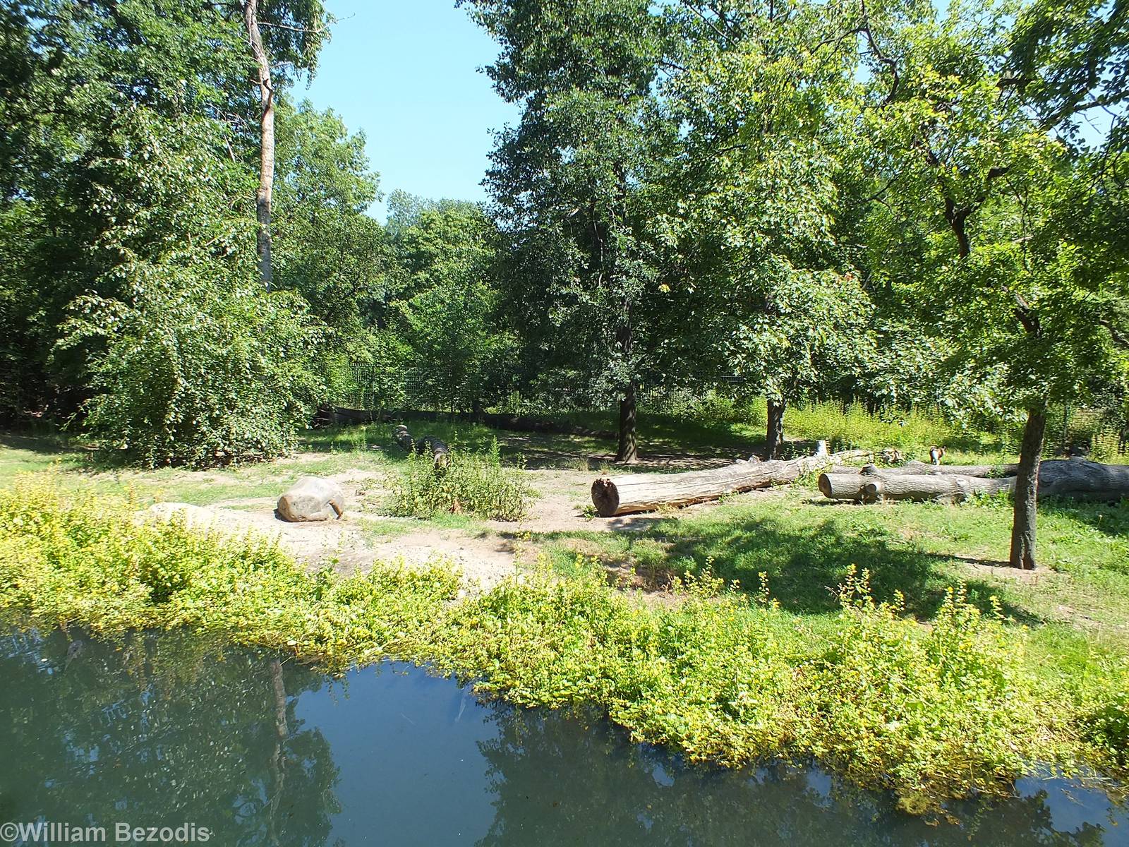 African Hunting Dog Enclosure