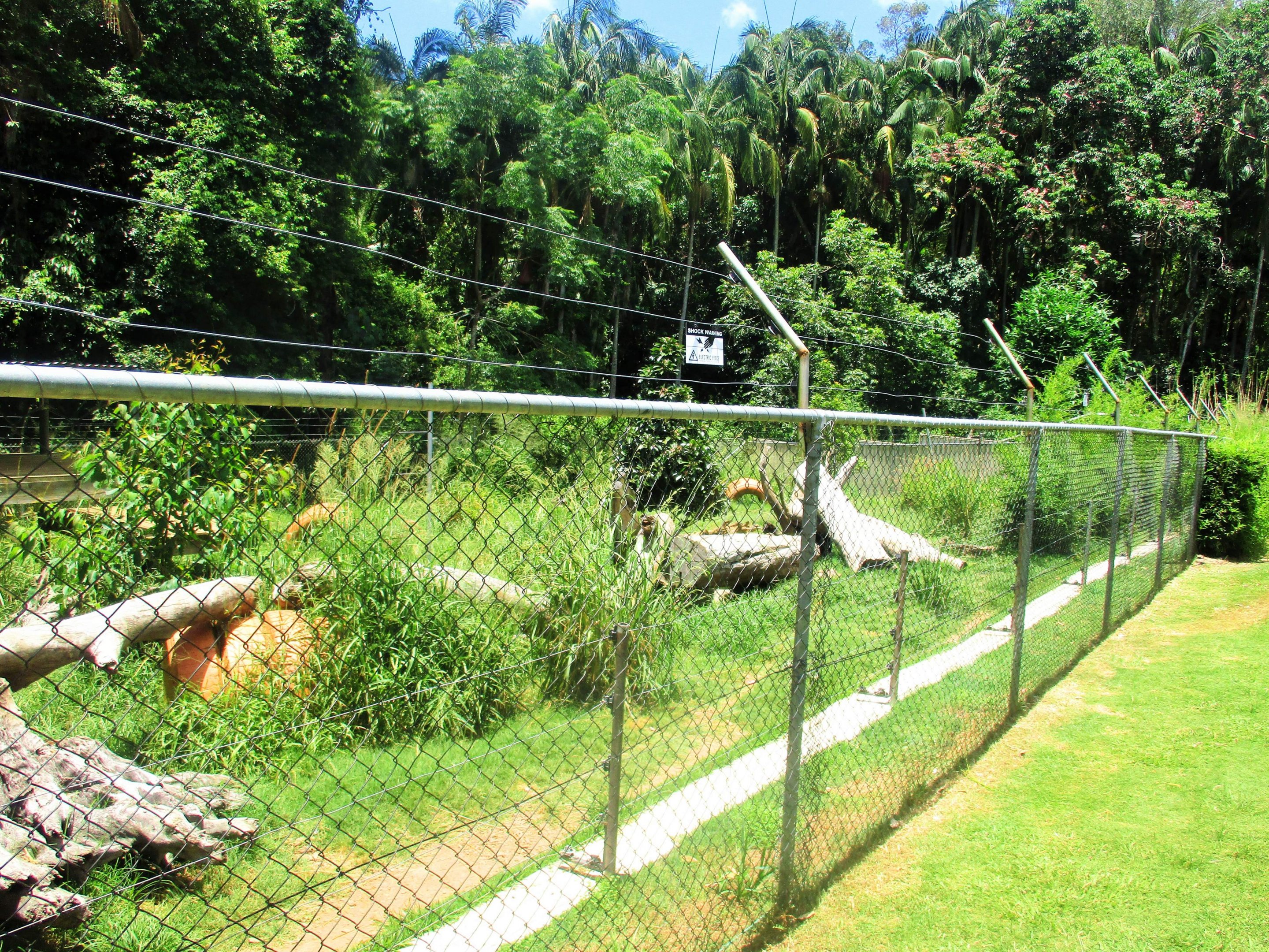 African Hunting Dog Enclosure