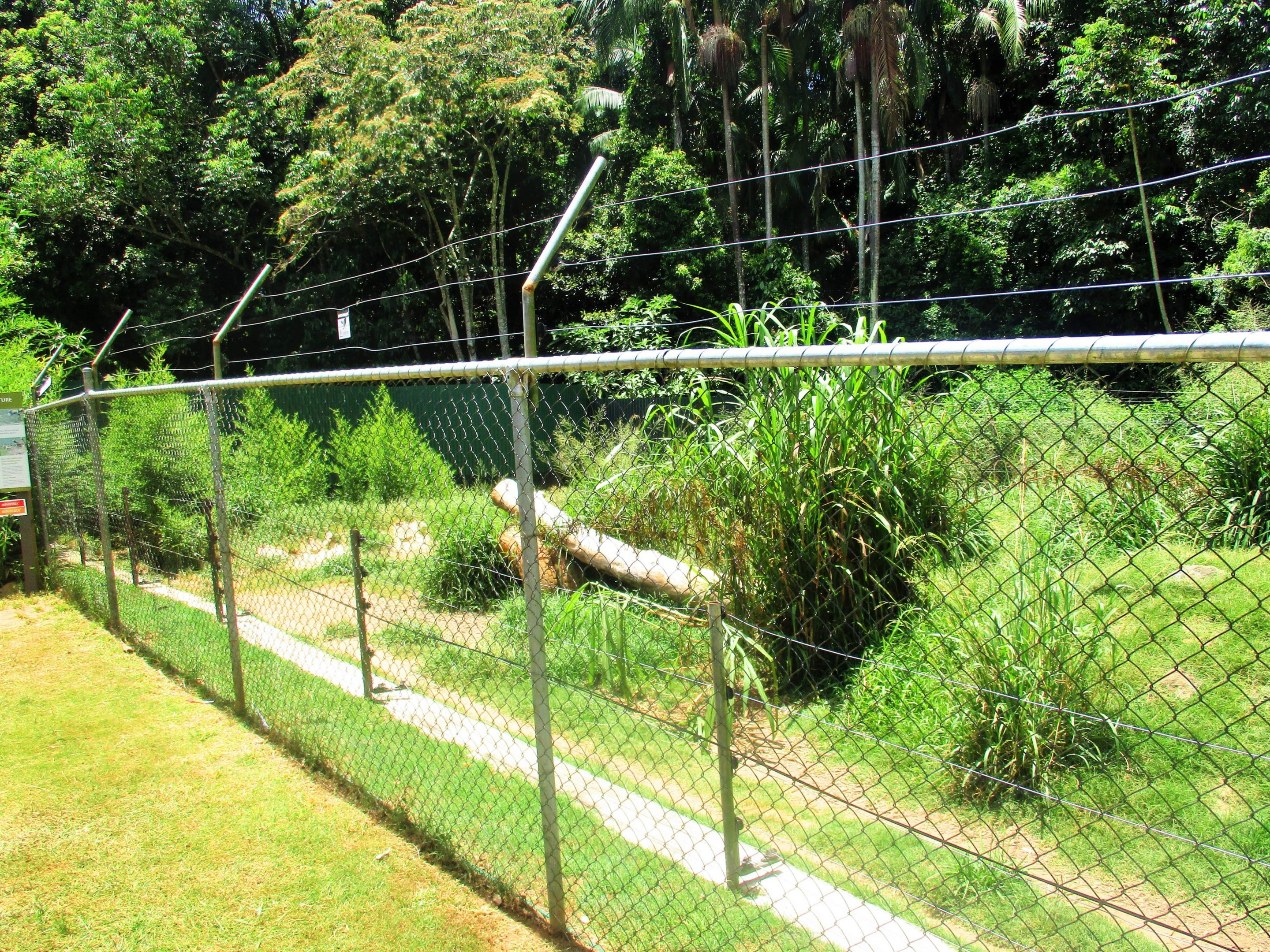 African Hunting Dog Enclosure