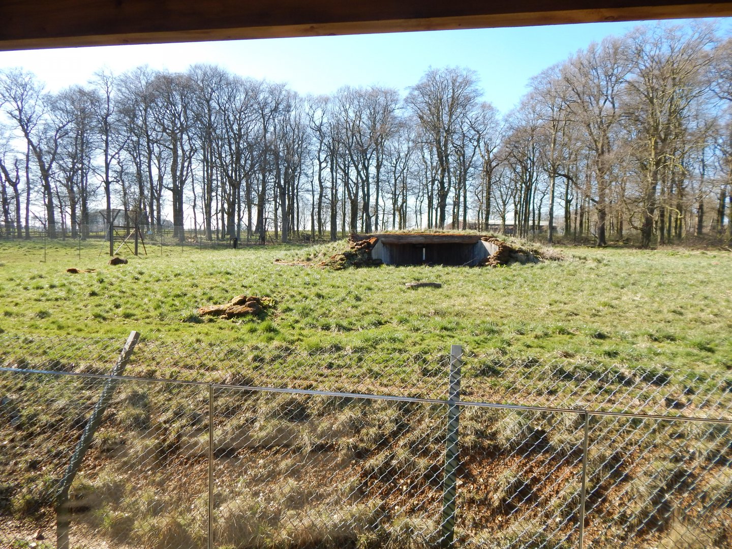 African hunting dog exhibit 190322