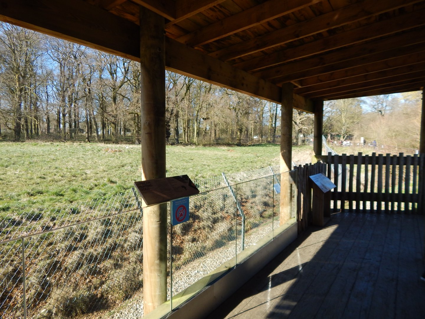 African hunting dog exhibit 190322