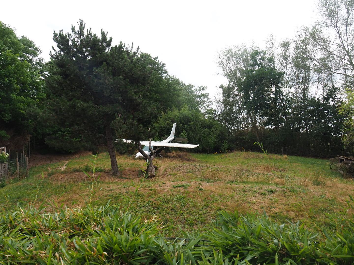 African hunting dog exhibit, 2019-08-11