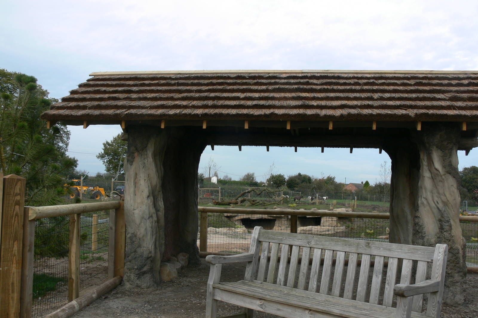 African Hunting Dog Exhibit at Yorkshire WP, 28/10/14