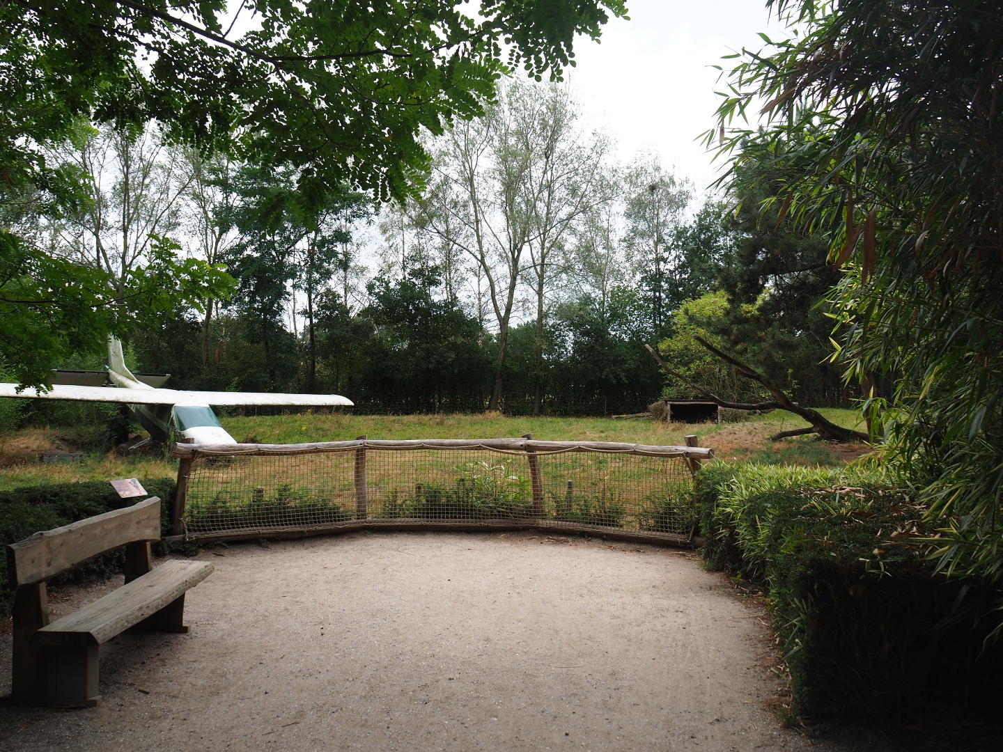 African hunting dog exhibit viewing area, 2019-08-11