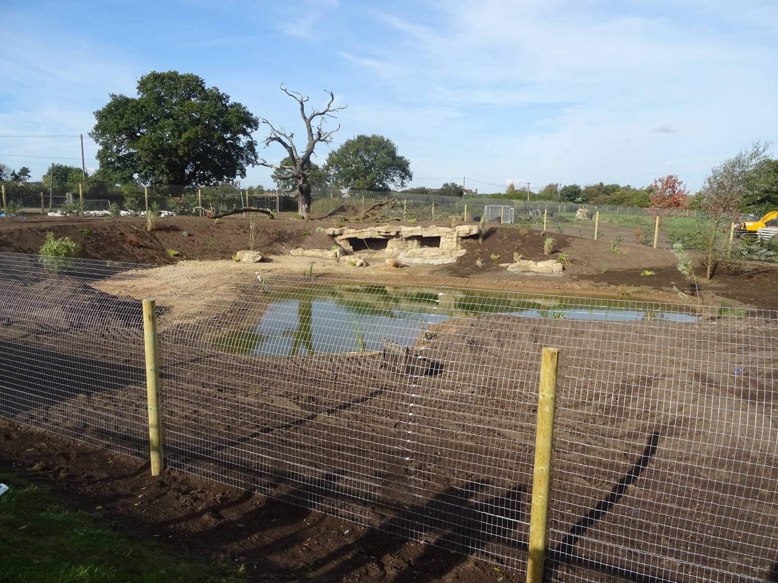 African Hunting Dog Exhibit WIP at Yorkshire Wildlife Park