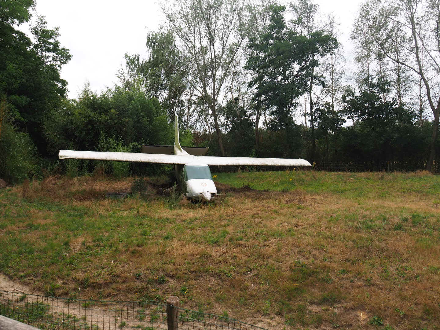 African hunting dog exhibit - With crashed airplane, 2019-08-11