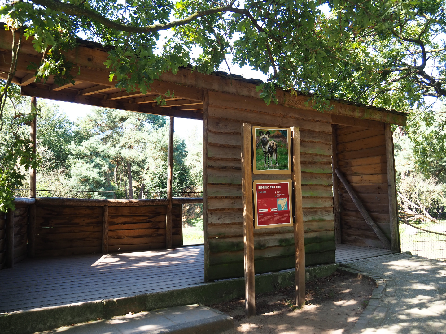 African hunting dog observation area,  2019-09-15