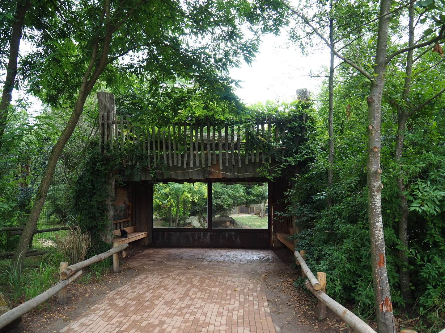 African hunting dog viewing area, 2019-07-21