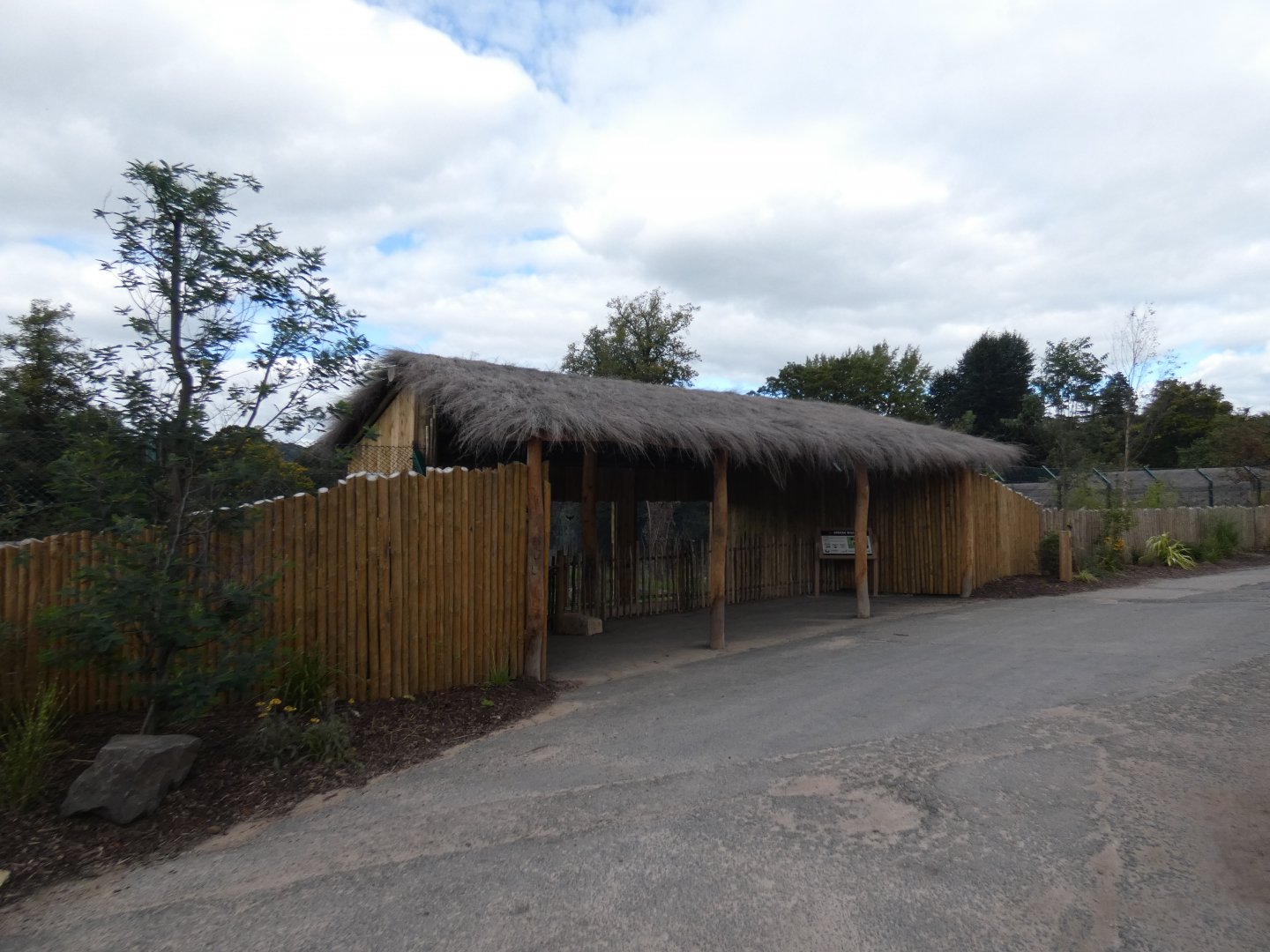 African hunting dog viewing area