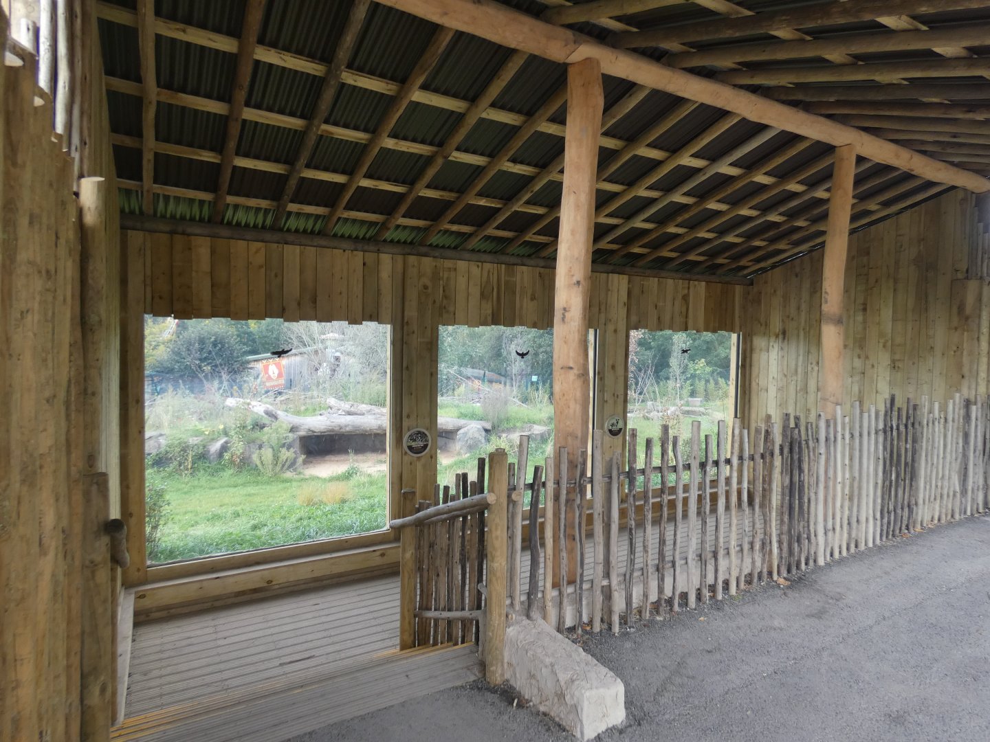 African hunting dog viewing area