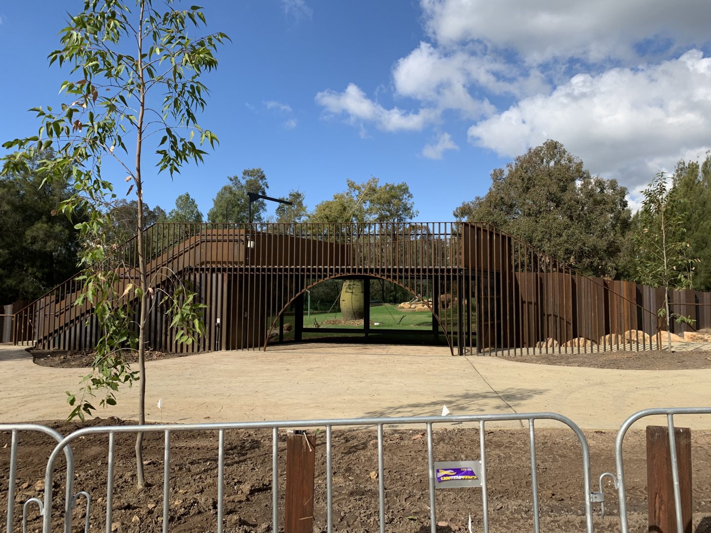 African Hunting Dogs- Exhibit renovation