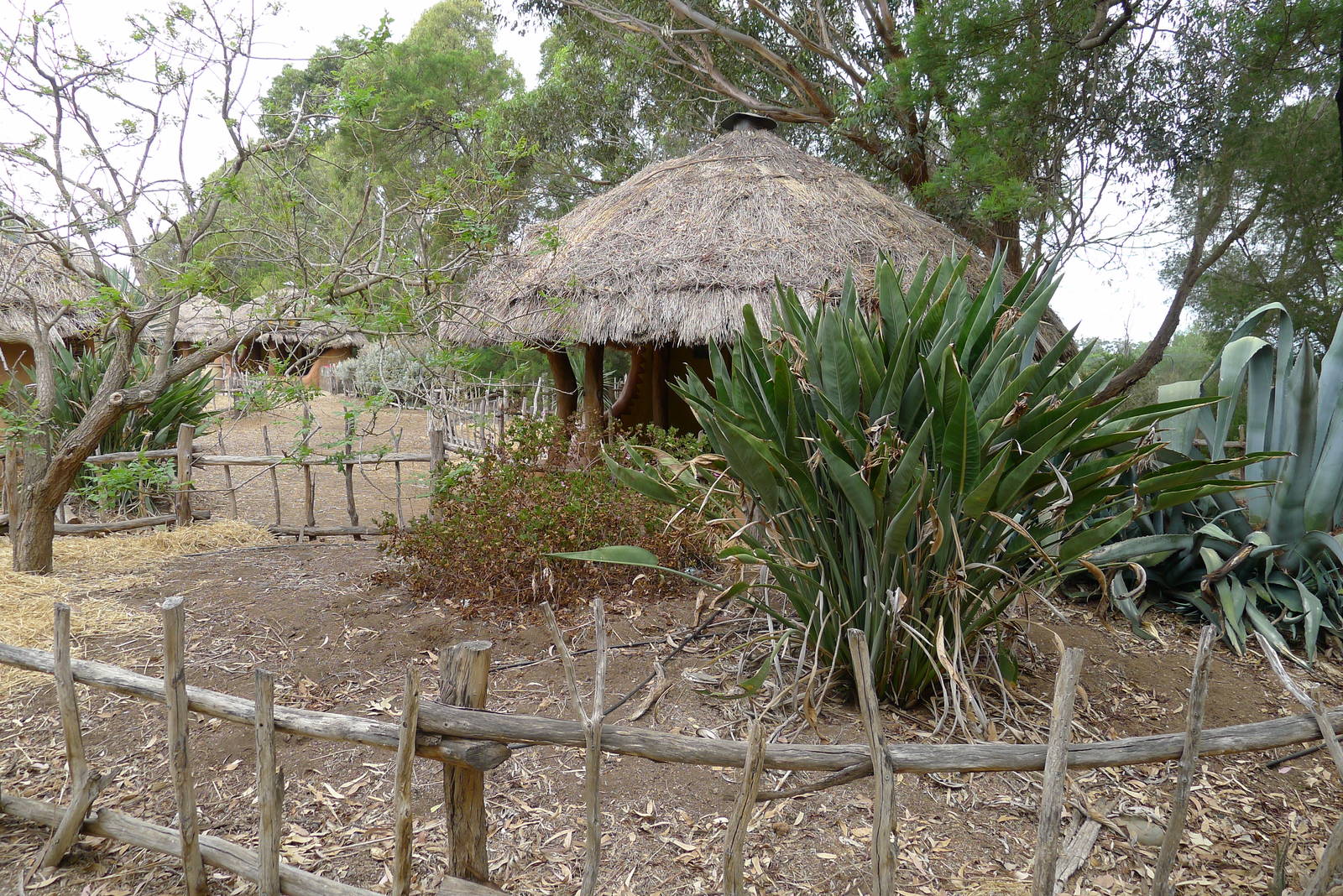 African Hut/Picnic shelter