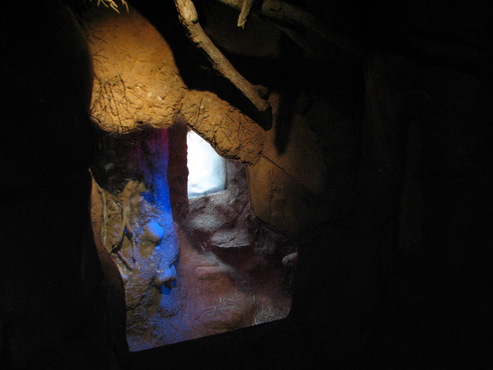 African Journey - Aardvark Exhibit Den