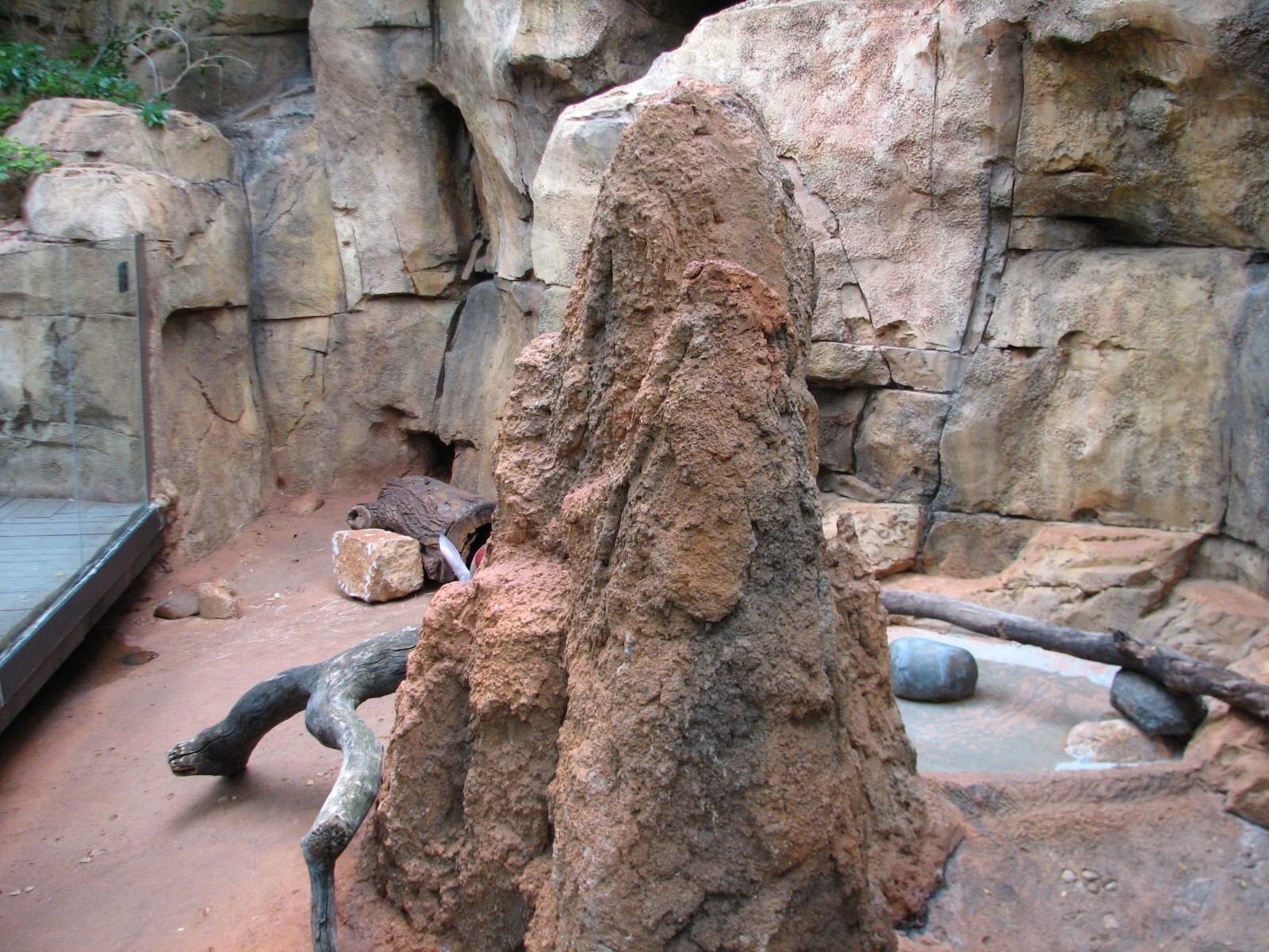 African Journey - Aardvark Exhibit