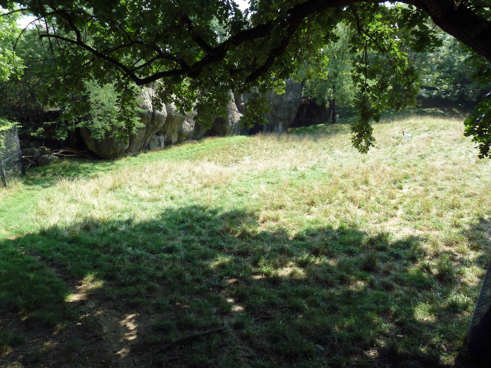 African Journey - Addra Gazelle/Kudu/Saddle-Billed Stork Exhibit