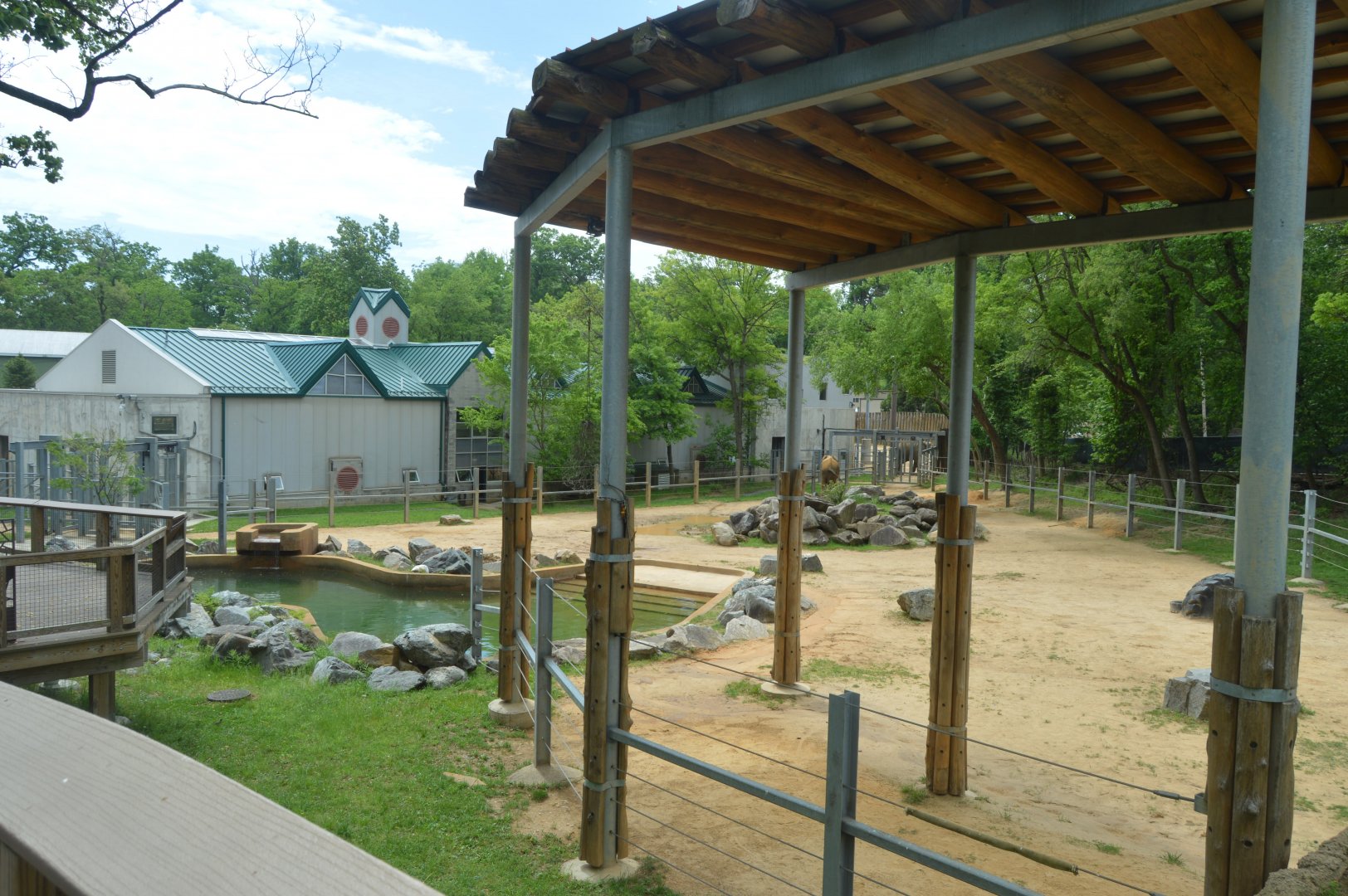 African Journey - African Bush Elephant Exhibit