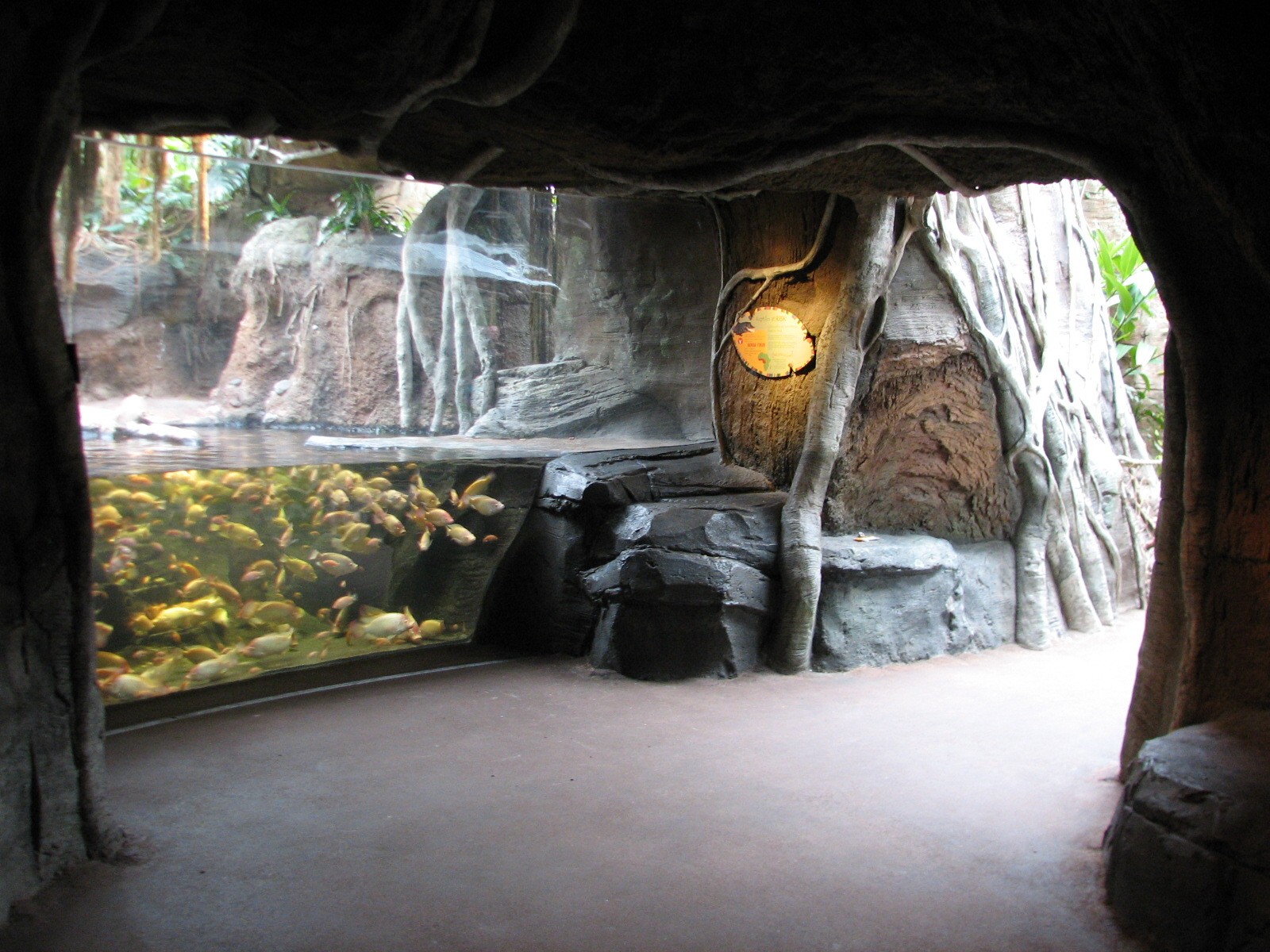 African Journey - African Dwarf Crocodile Exhibit Viewing Area