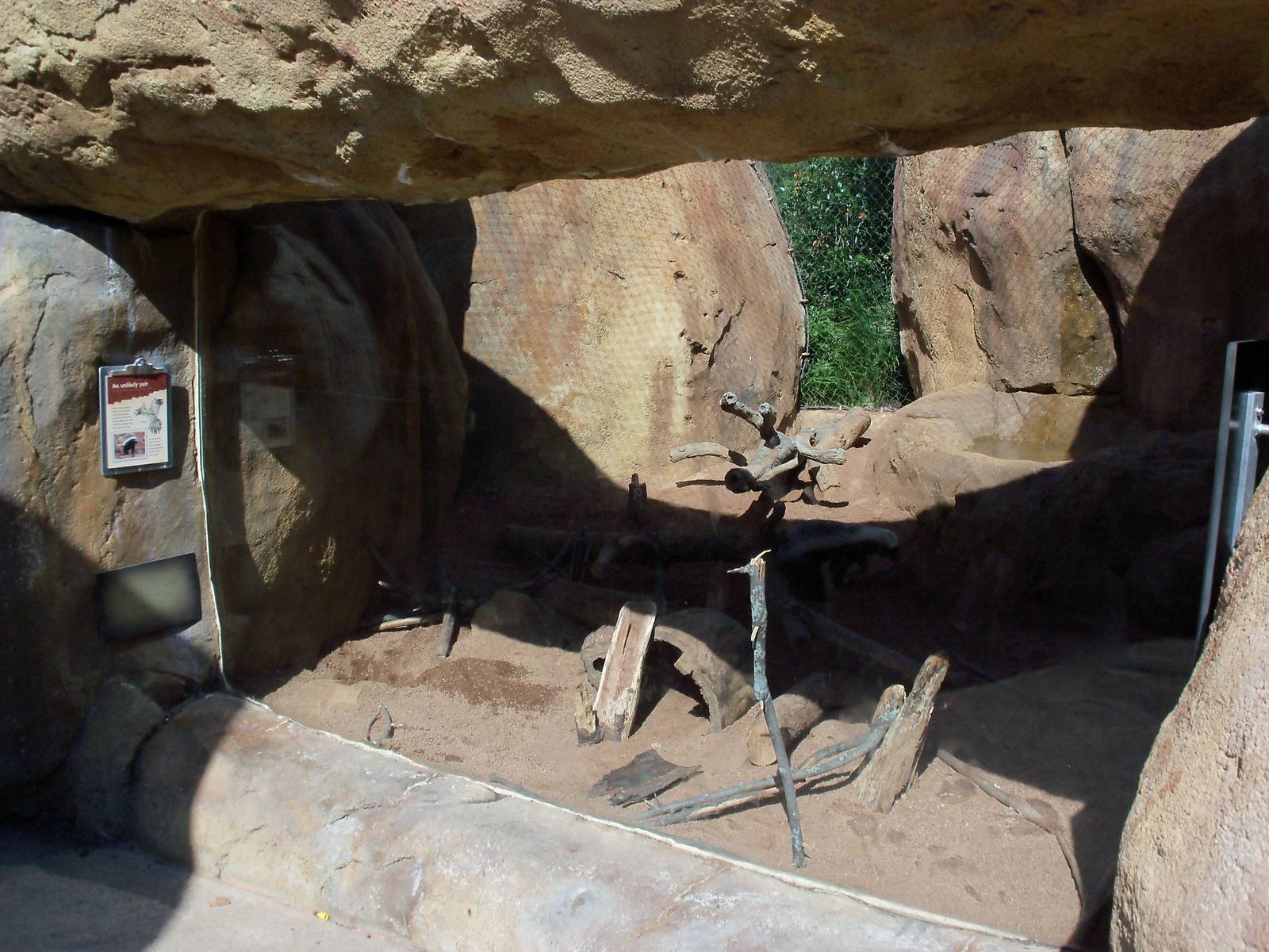 African Journey - Banded Mongoose Exhibit