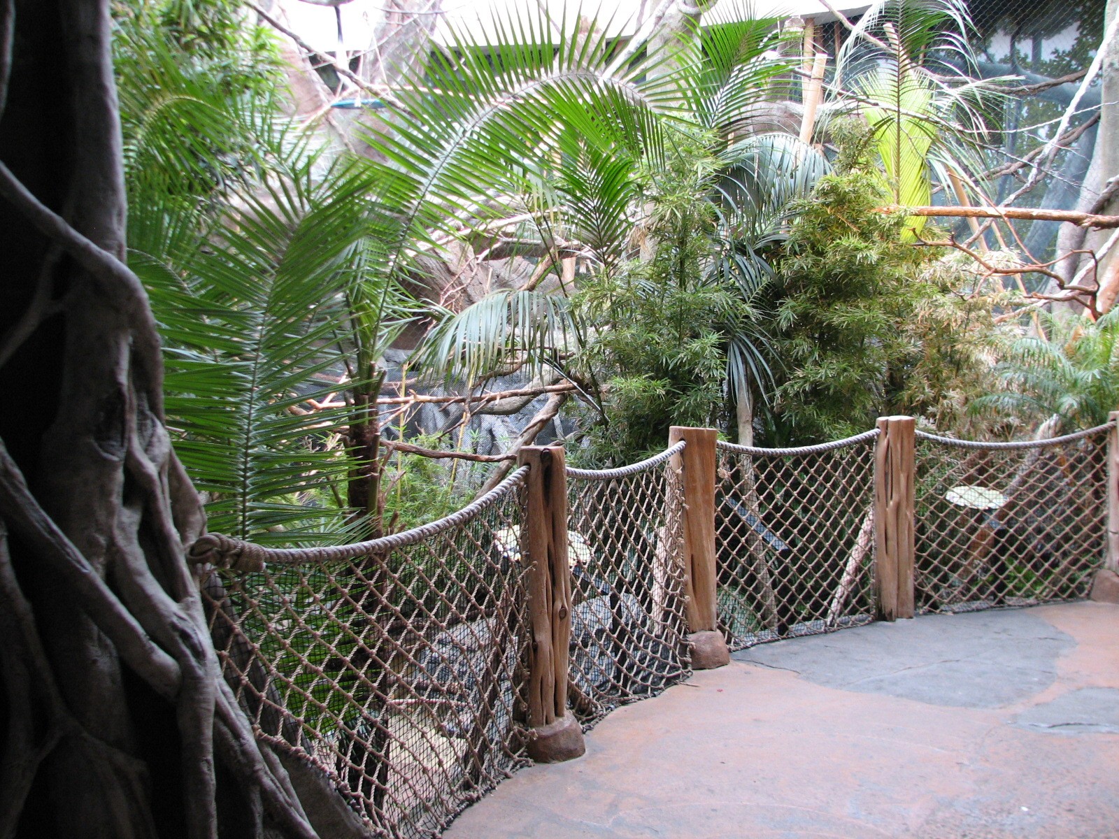 African Journey - Bird Exhibit