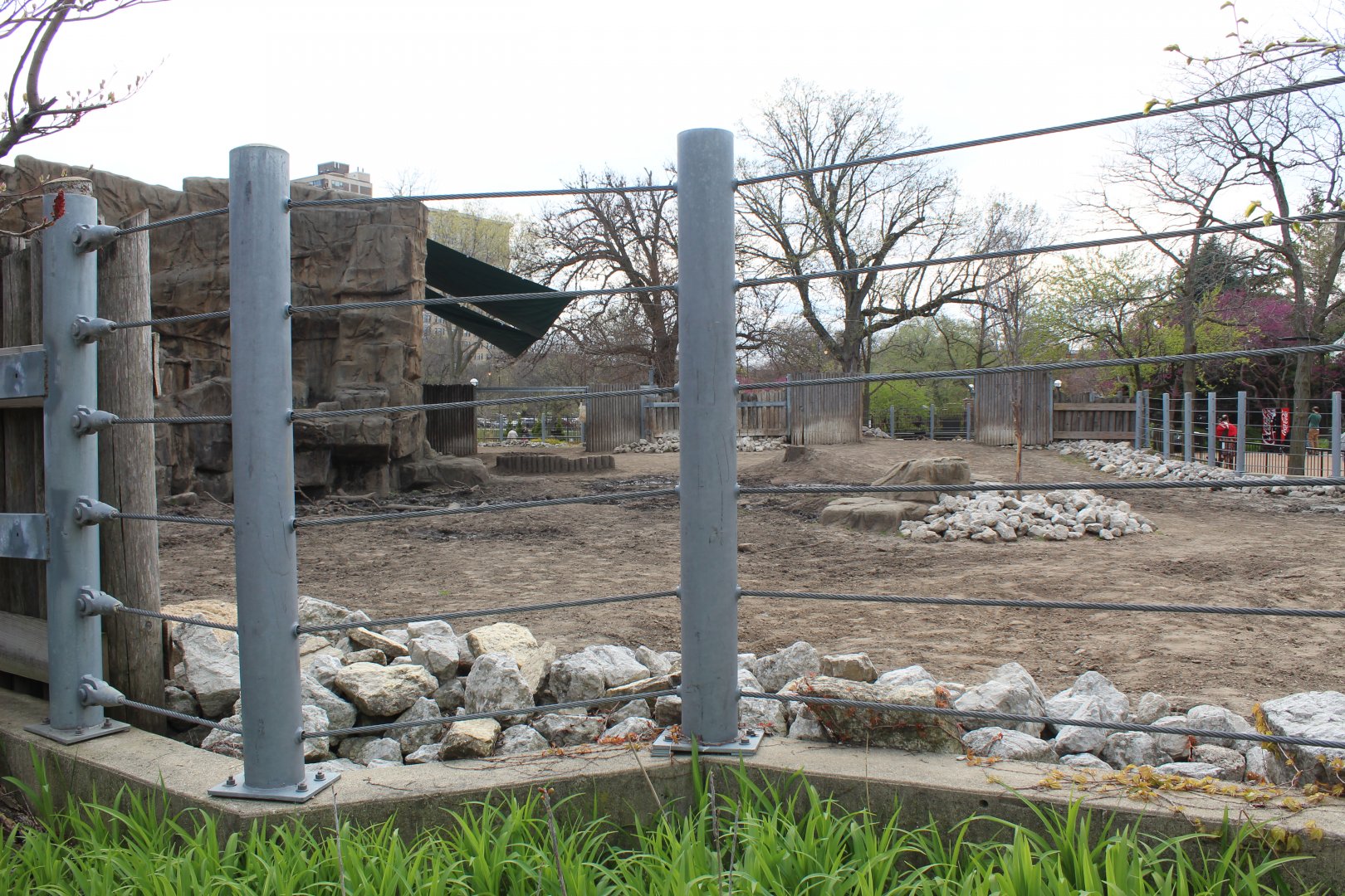 African Journey - Black Rhino Exhibit