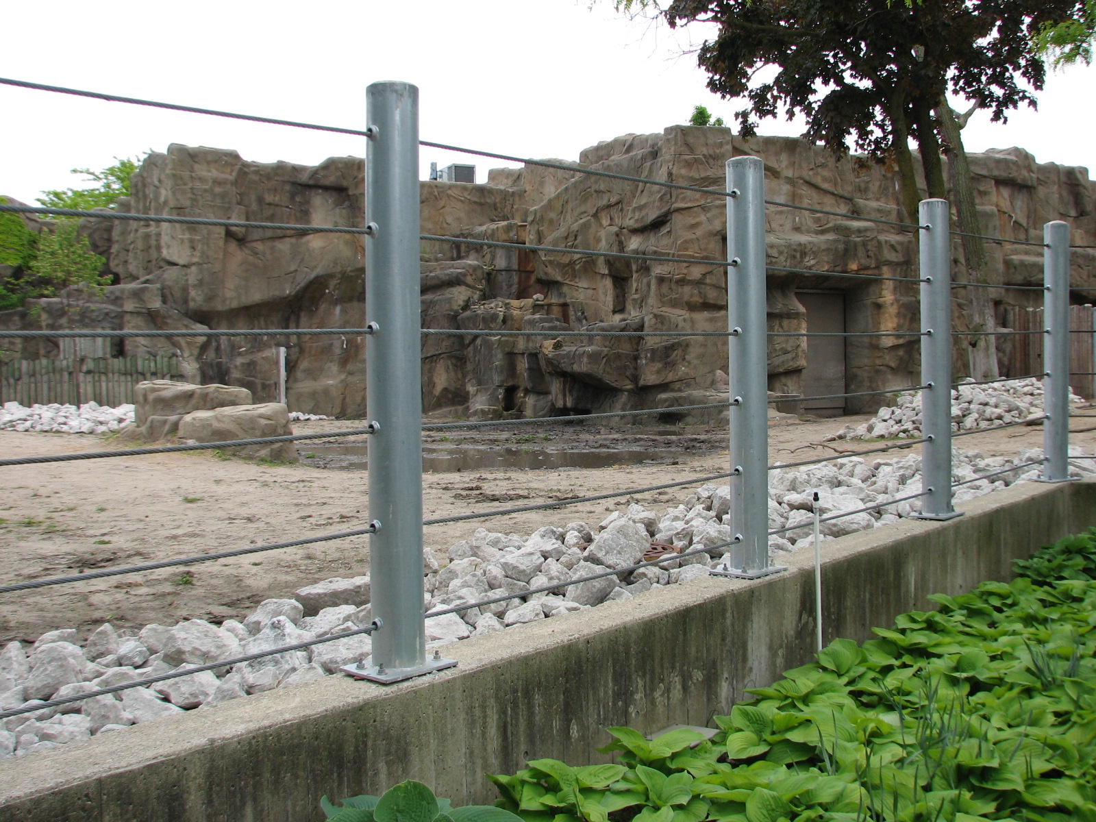 African Journey - Black Rhinoceros Exhibit 1