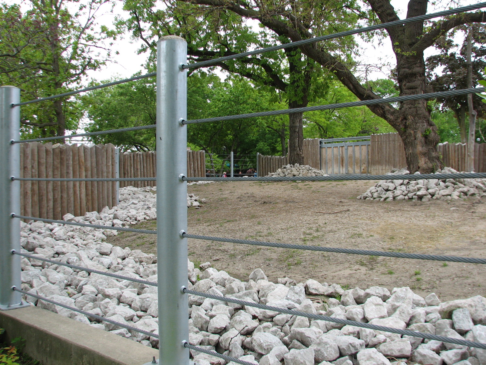 African Journey - Black Rhinoceros Exhibit 2