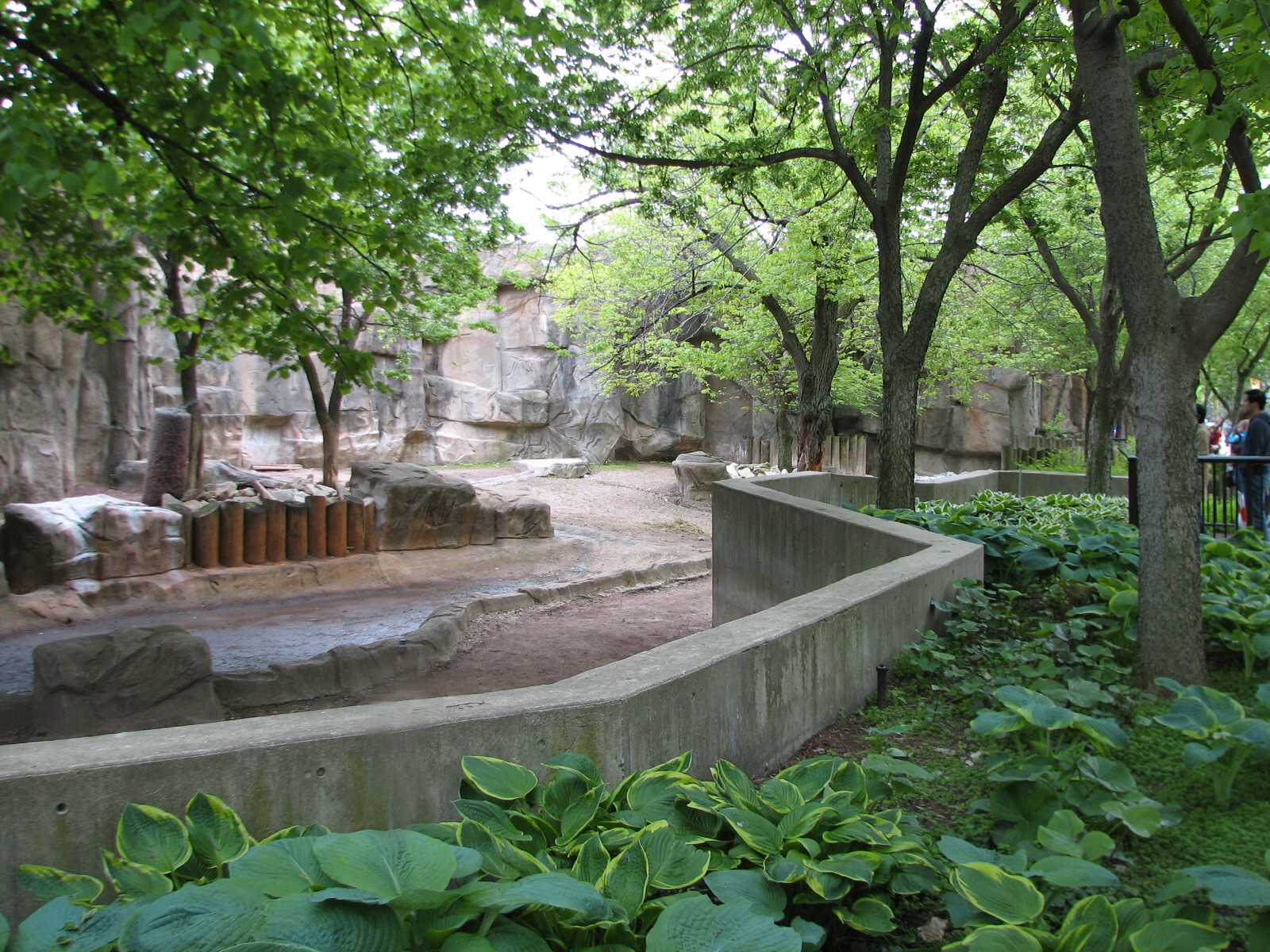 African Journey - Black Rhinoceros Exhibit 3