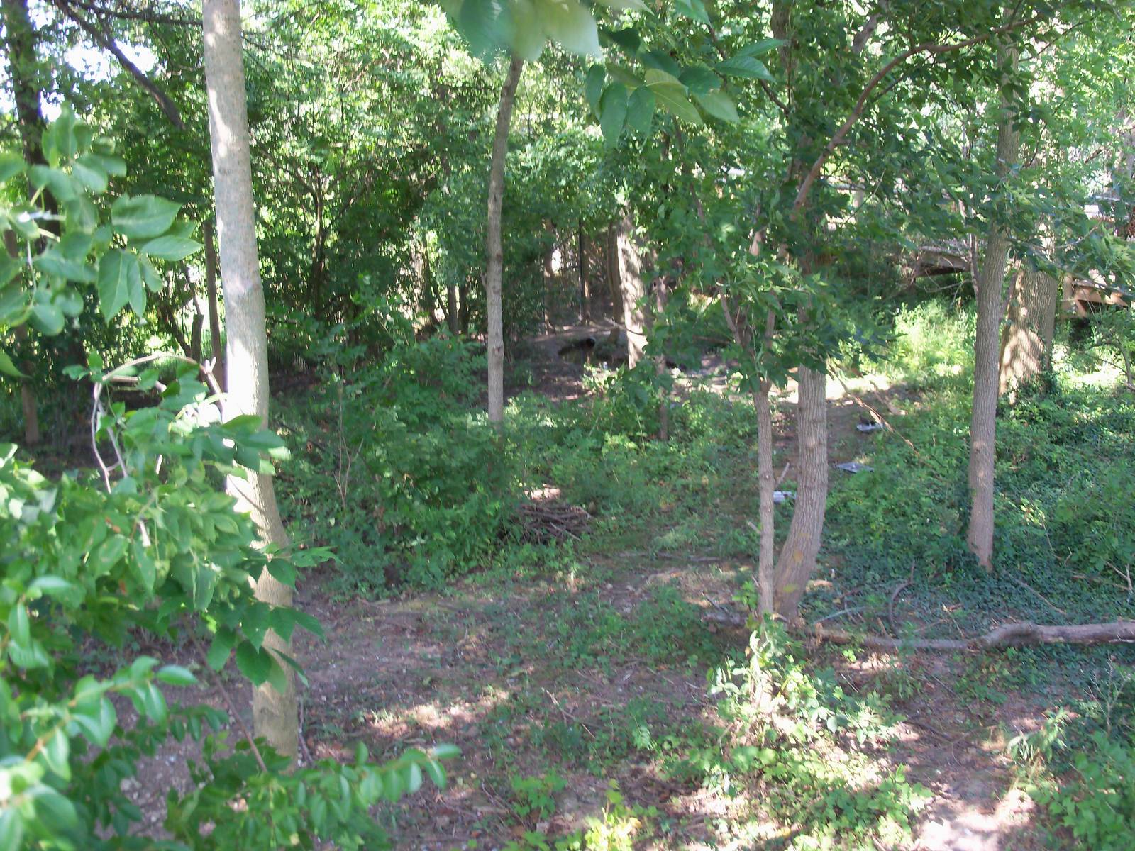 African Journey - Black Stork Exhibit