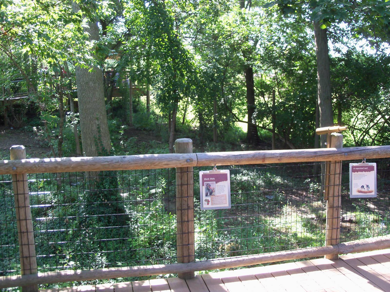 African Journey - Black Stork Exhibit