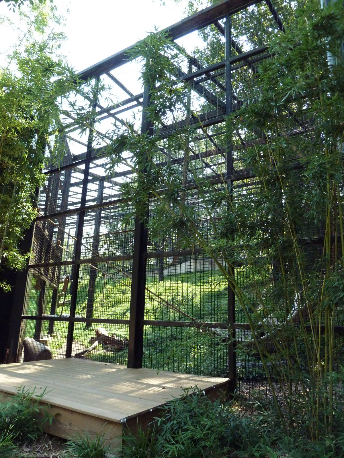 African Journey - Chimpanzee Exhibit