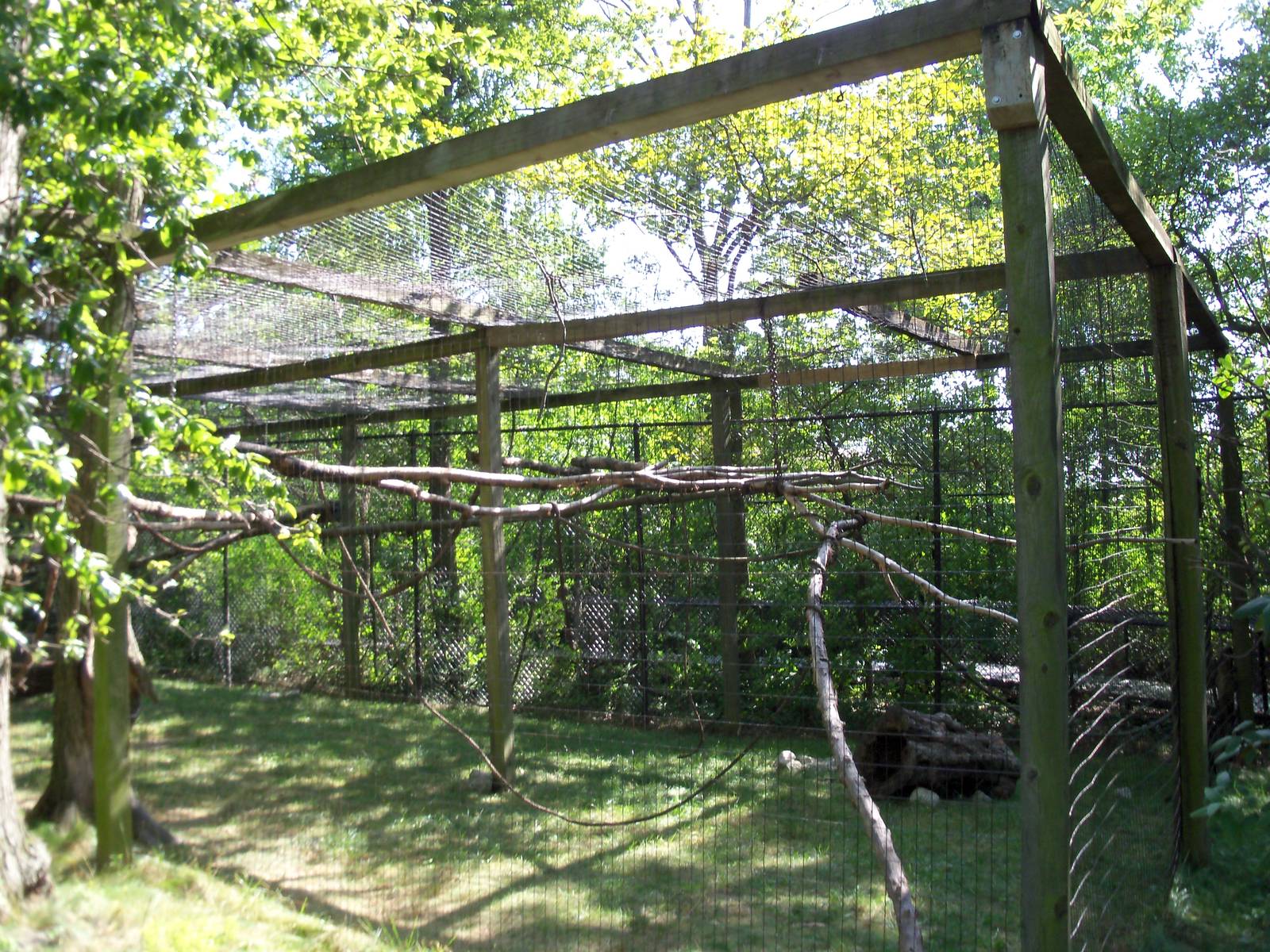 African Journey - DeBrazza Monkey Exhibit