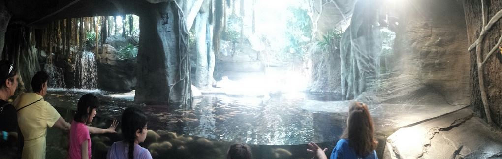 African Journey - Dwarf Crocodile Exhibit