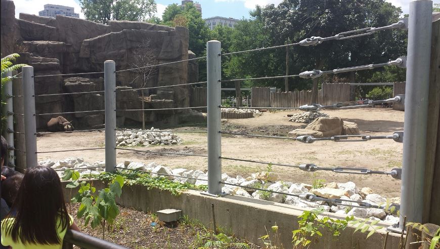 African Journey - Eastern Black Rhinoceros Exhibit