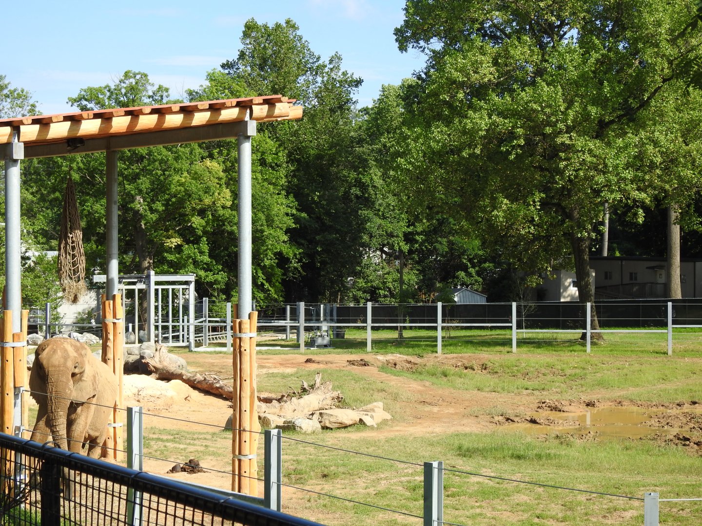 African Journey Elephant Exhibit - June 2019
