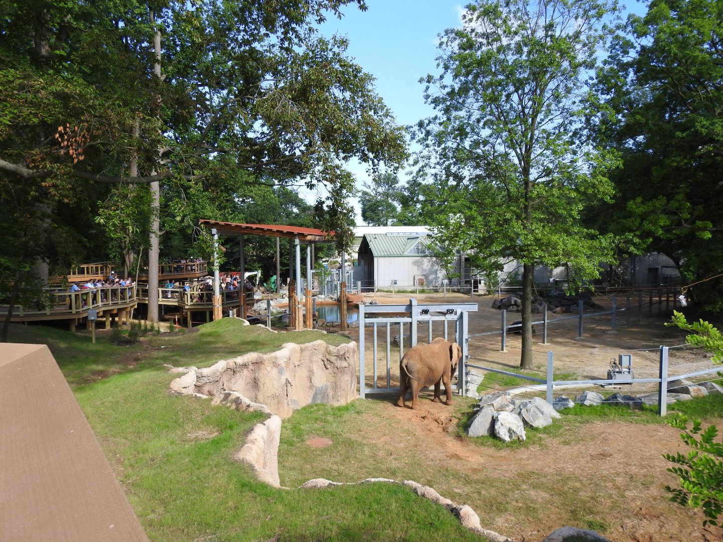African Journey Elephant Exhibit - June 2019