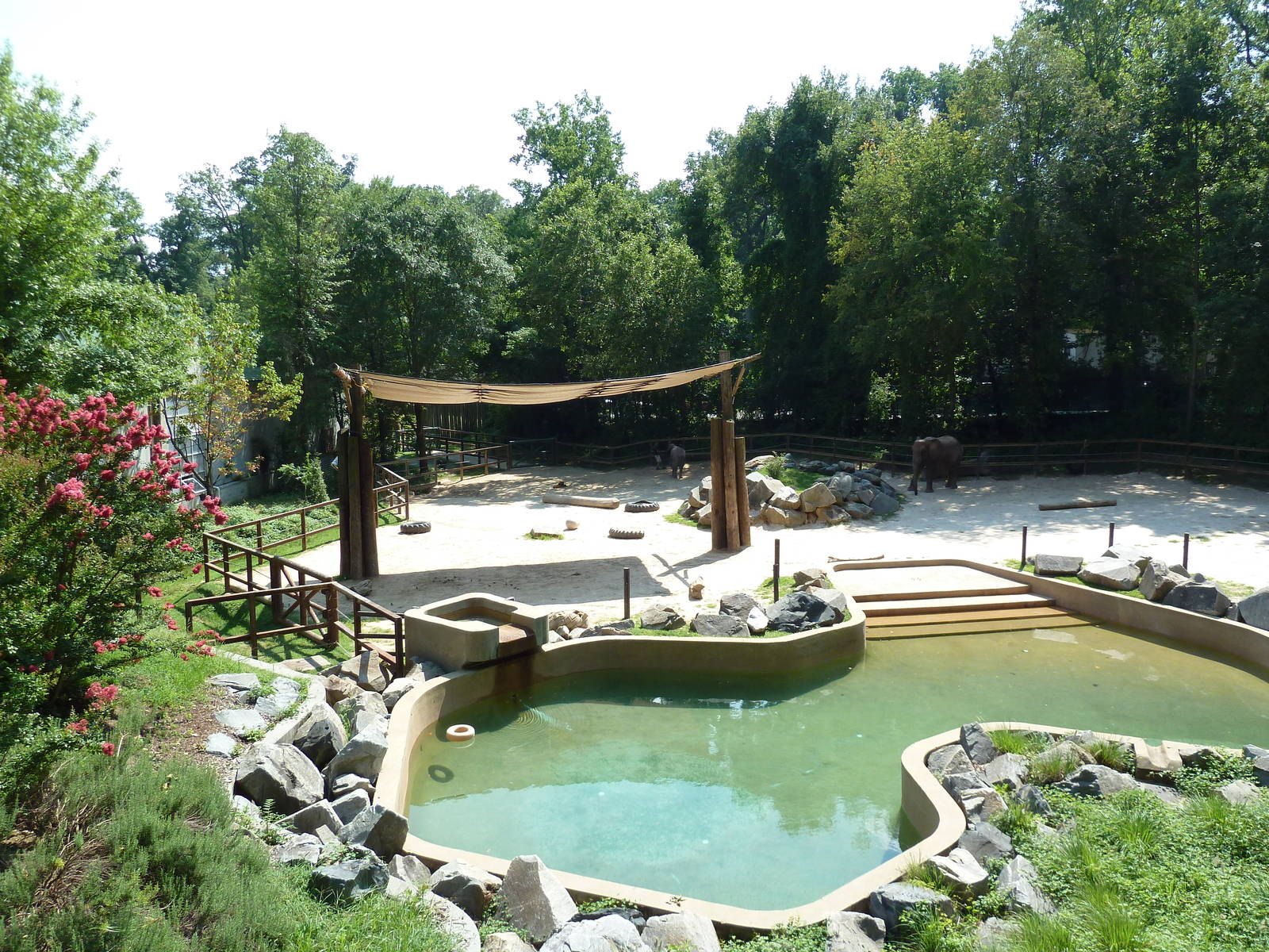 African Journey - Elephant Exhibit