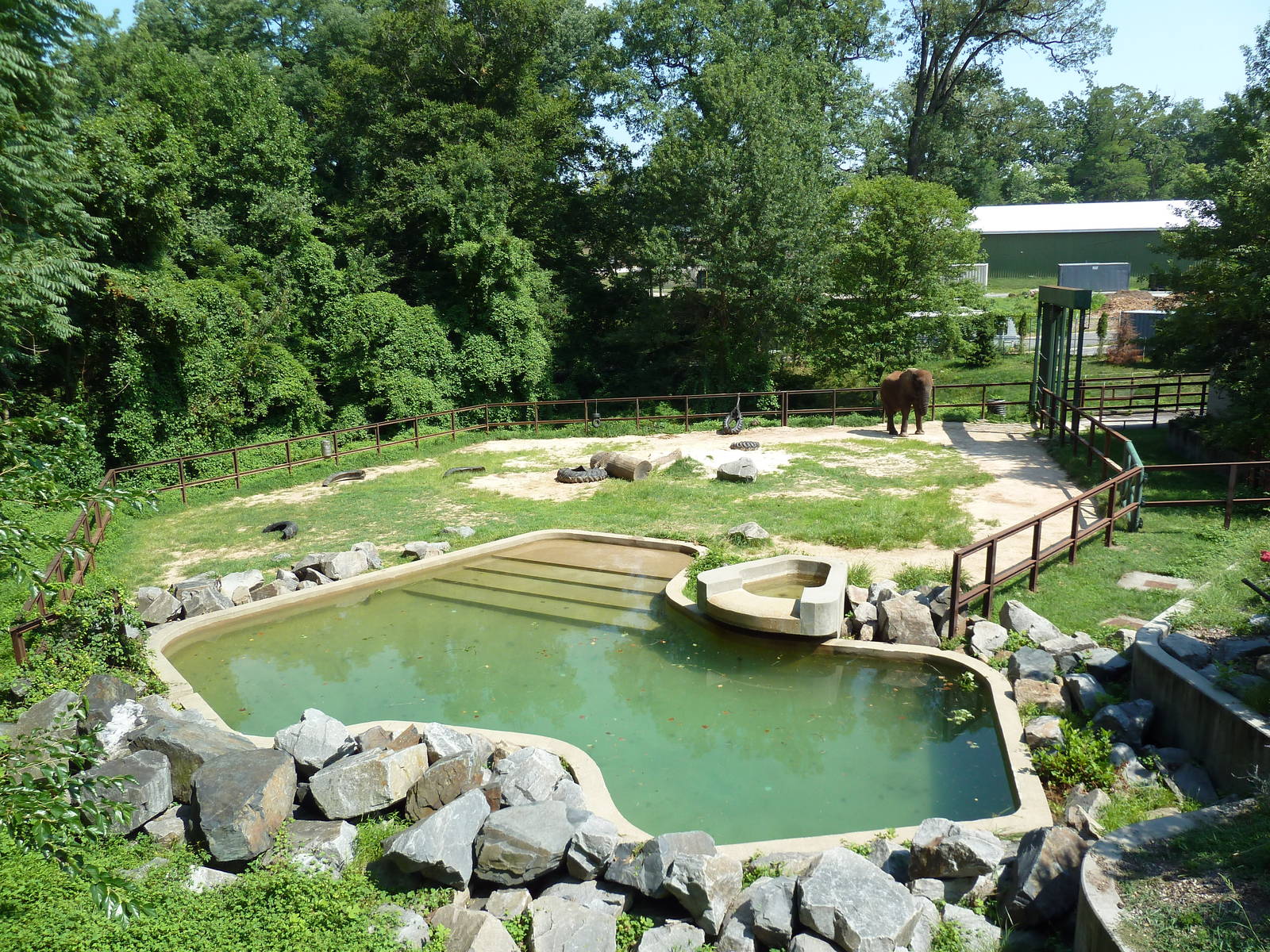 African Journey - Elephant Exhibit