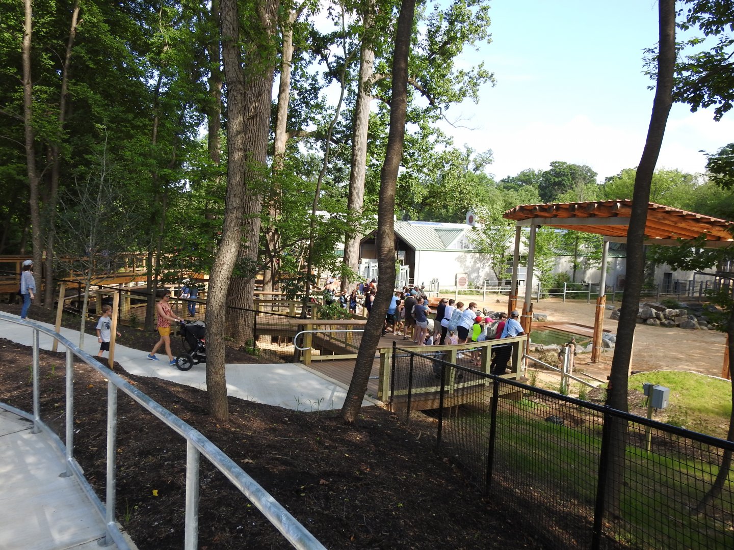 African Journey Elephant Viewing Platforms - June 2019