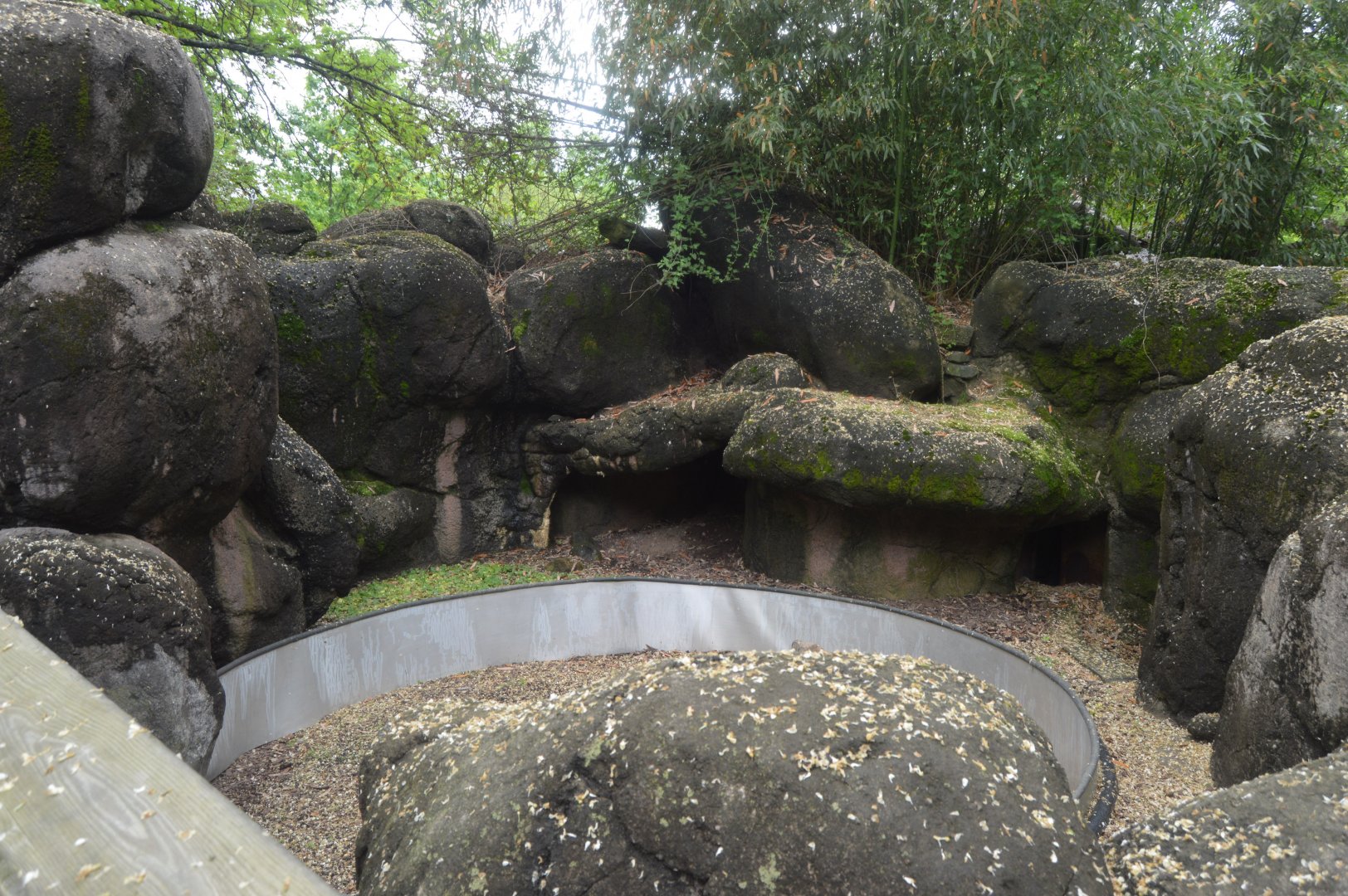 African Journey - Former Cape Porcupine Exhibit