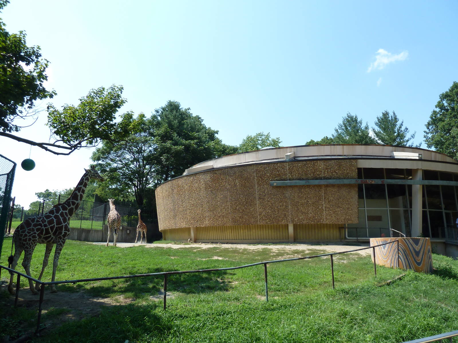 African Journey - Giraffe Exhibit