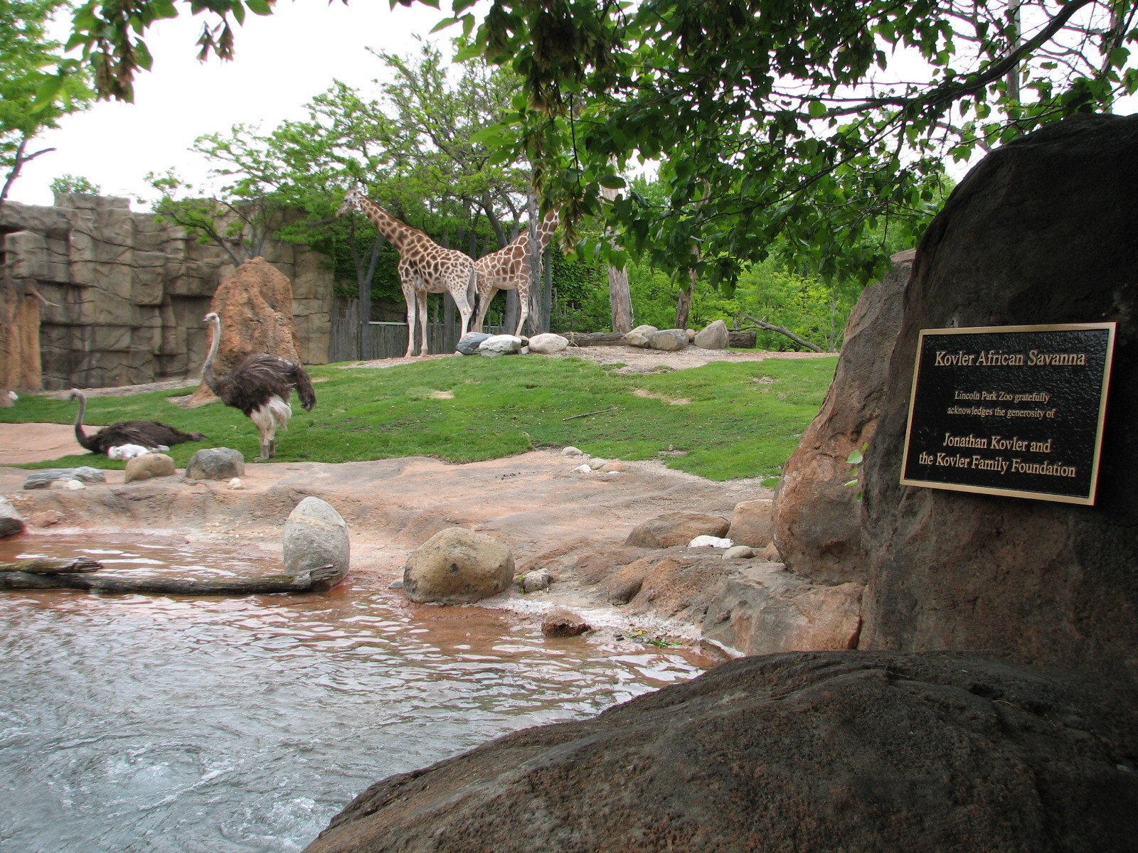 African Journey - Giraffe, Grants Gazelle, and Ostrich Exhibit