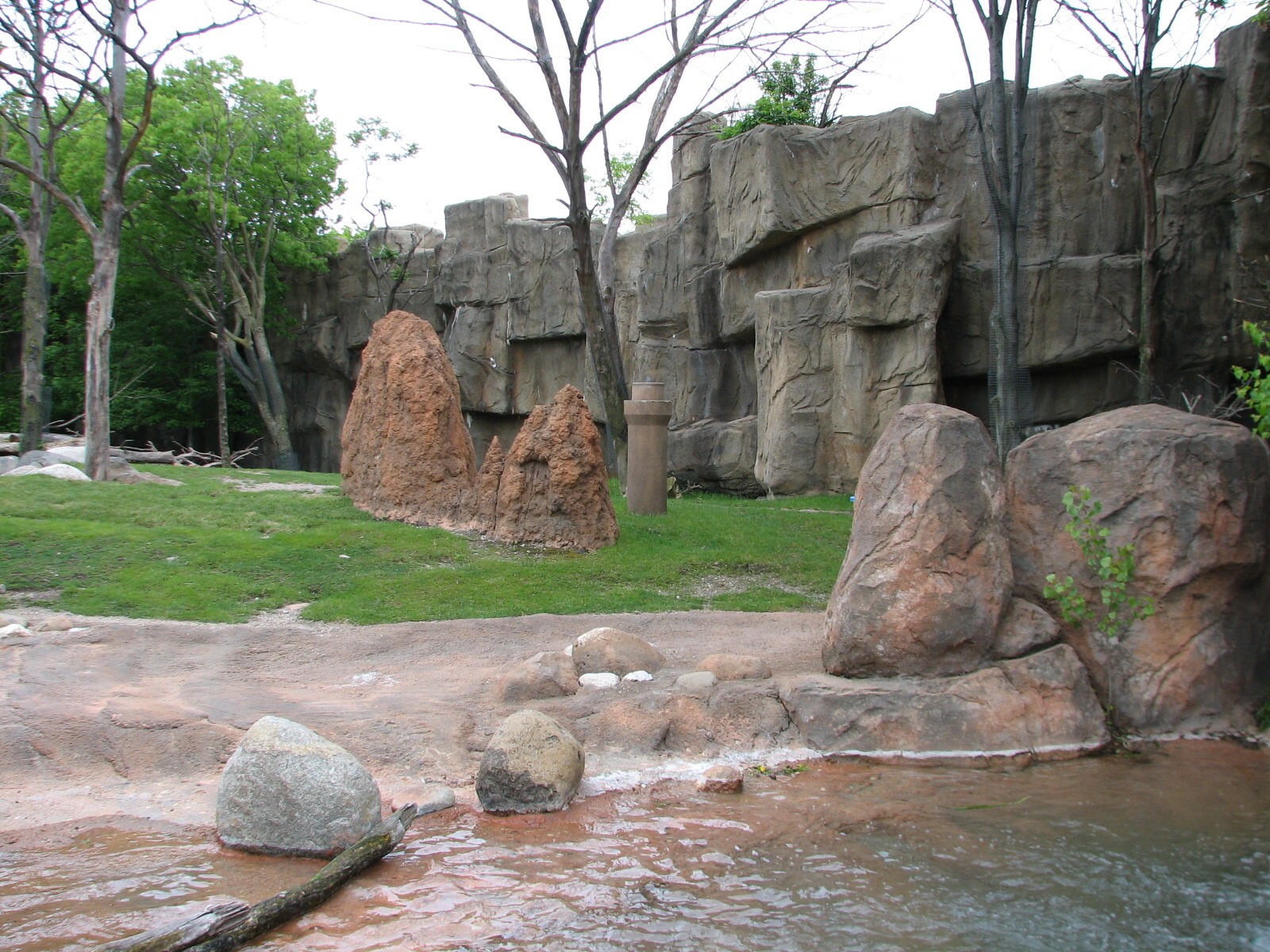 African Journey - Giraffe, Grants Gazelle, and Ostrich Exhibit