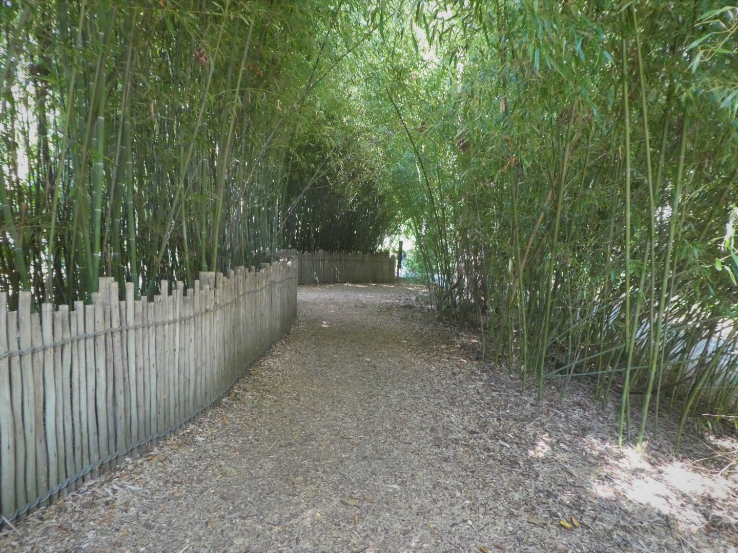 African Journey - Giraffe House - Path Near Okapi Exhibit