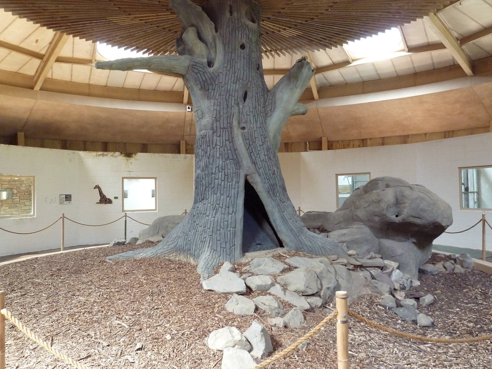 African Journey - Giraffe House