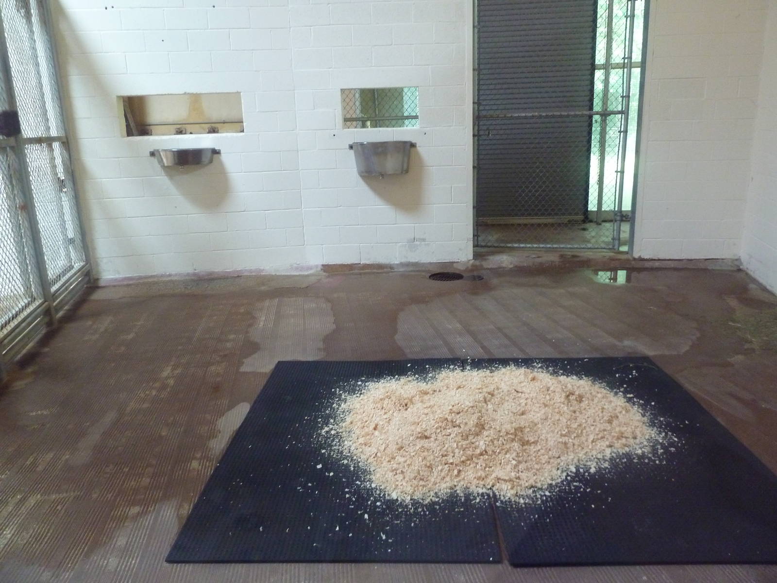 African Journey - Giraffe Stall