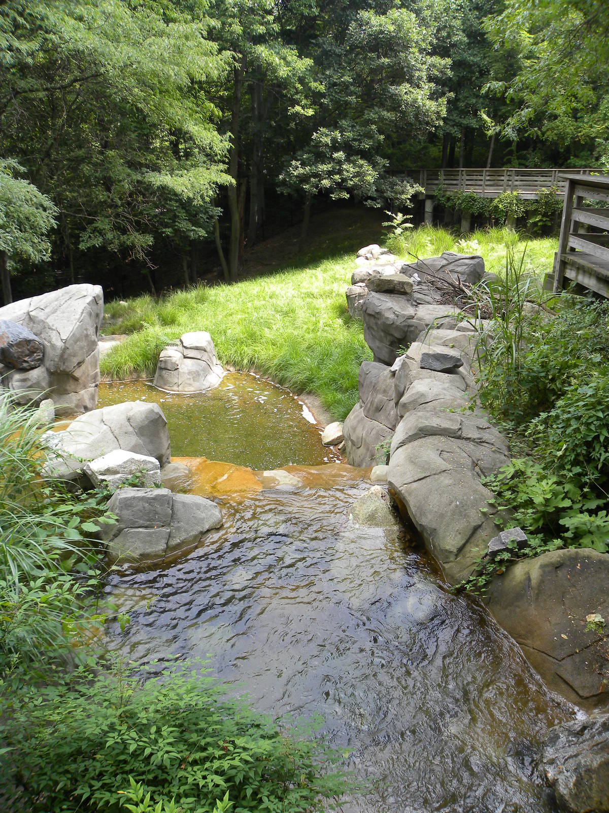 African Journey: Great Sitatunga/Crowned Crane exhibit