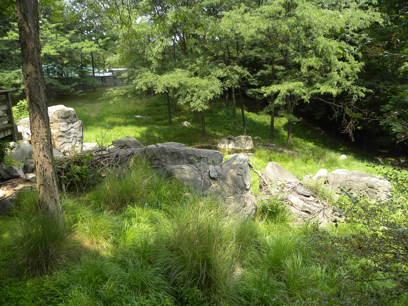 African Journey: Great Sitatunga/Crowned Crane exhibit