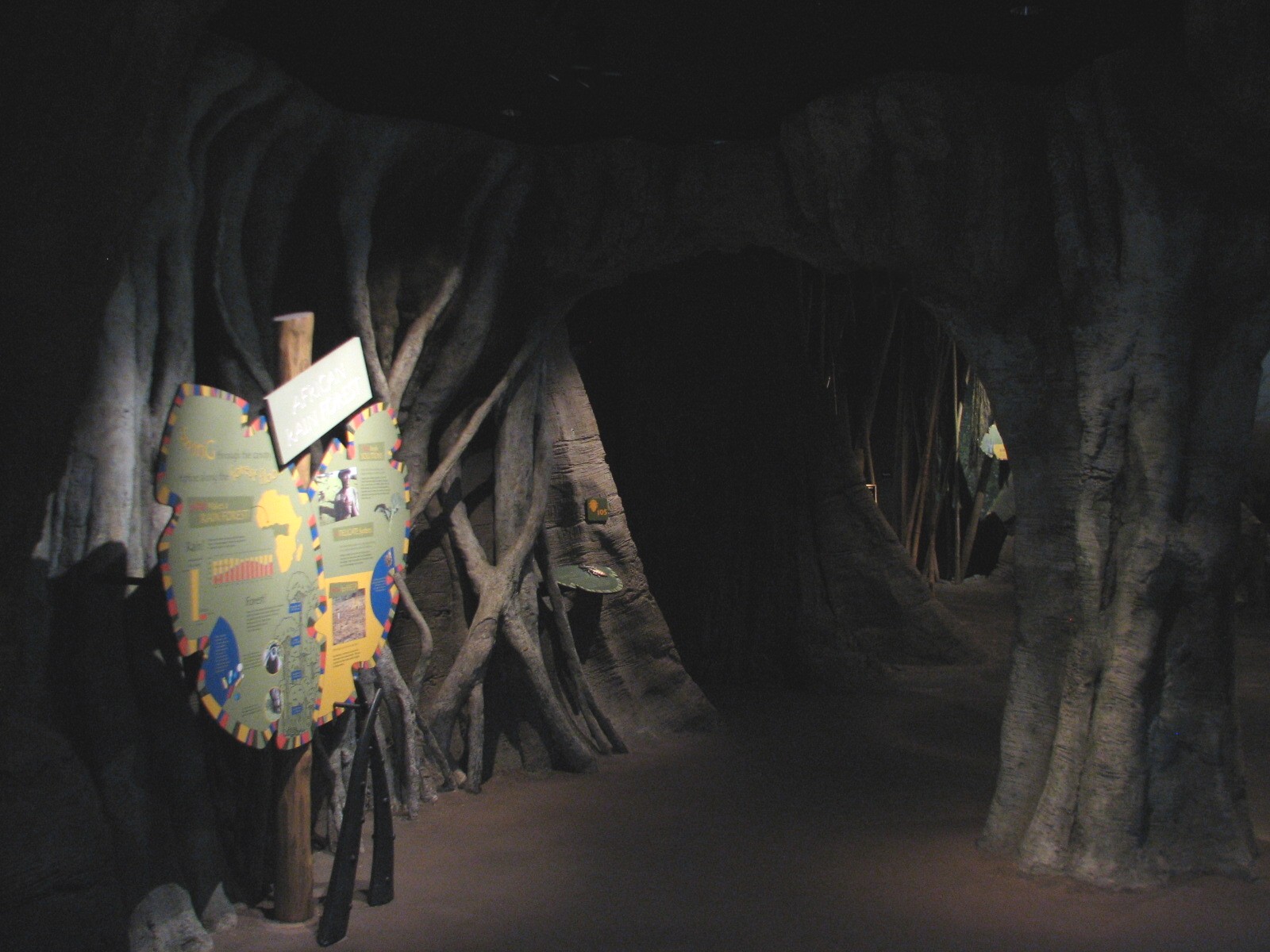 African Journey - Insect Exhibits Area